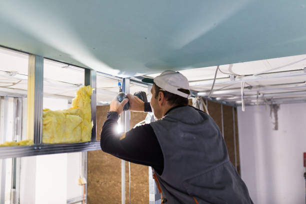 Best Professional Insulation Contractor  in Carolina Forest, SC