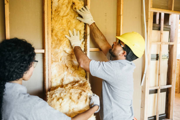 Best Insulation Inspection Services  in Carolina Forest, SC