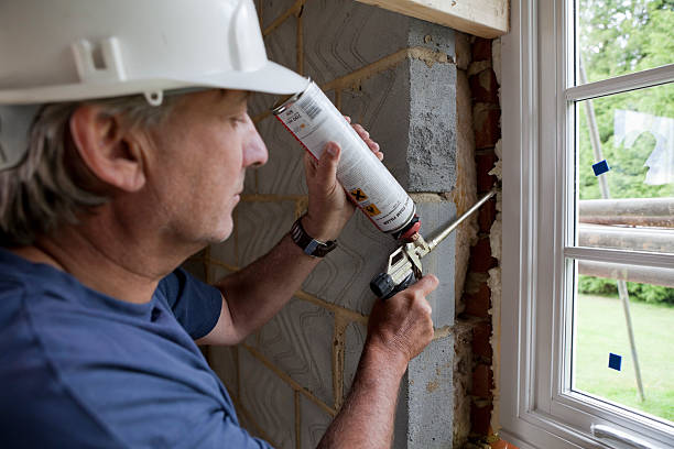 Best Best Insulation Companies  in Carolina Forest, SC