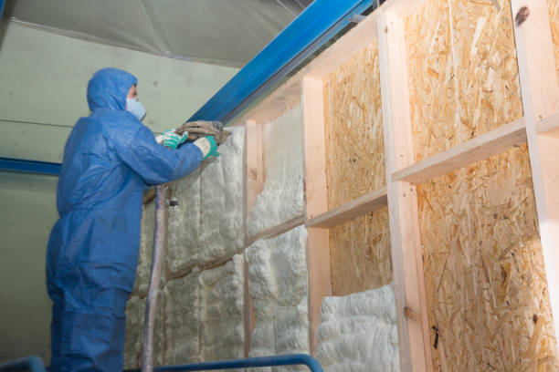 Best Crawl Space Insulation  in Carolina Forest, SC