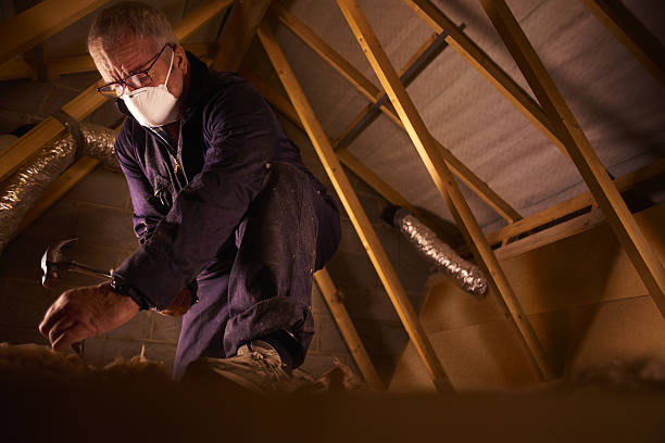 Range of Insulation Solutions in Carolina Forest, SC