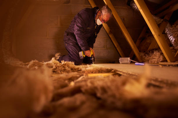 Best Insulation for New Construction  in Carolina Forest, SC